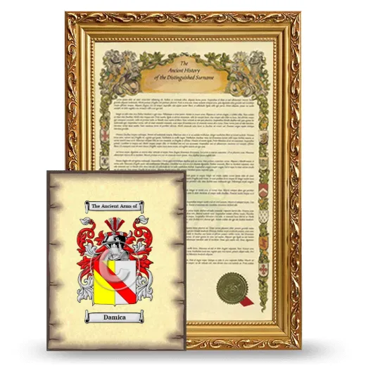 Damica Framed History and Coat of Arms Print - Gold
