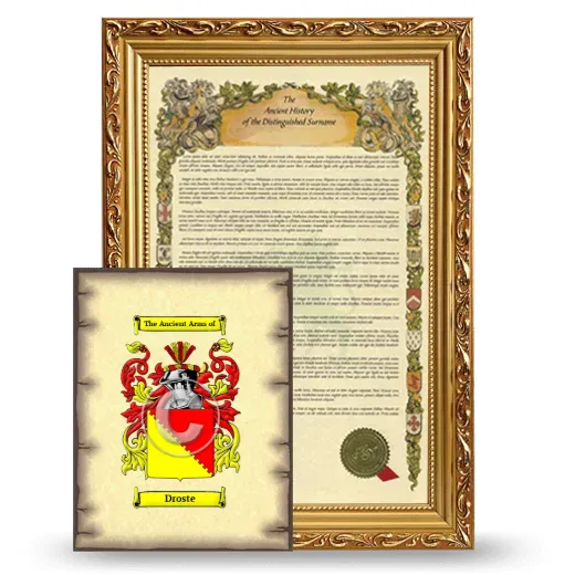 Droste Framed History and Coat of Arms Print - Gold