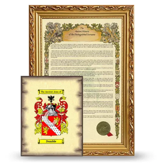 Dumble Framed History and Coat of Arms Print - Gold