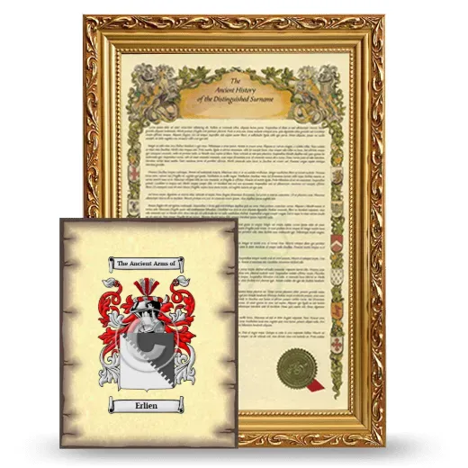 Erlien Framed History and Coat of Arms Print - Gold