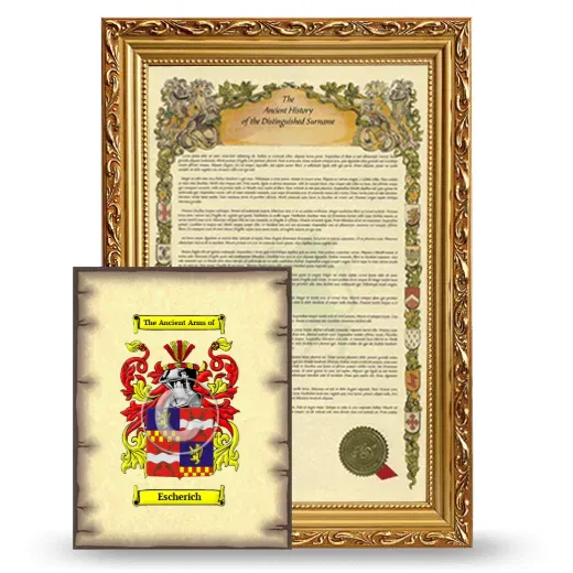 Escherich Framed History and Coat of Arms Print - Gold