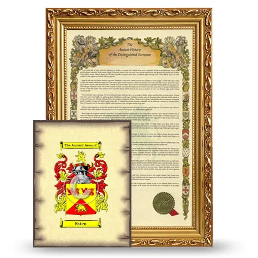 Esten Framed History and Coat of Arms Print - Gold
