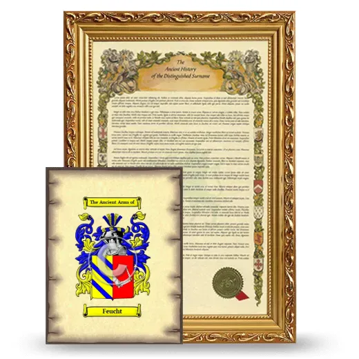 Feucht Framed History and Coat of Arms Print - Gold