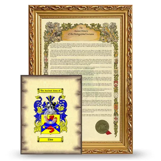 Five Framed History and Coat of Arms Print - Gold