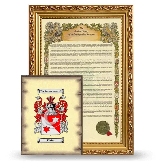 Flaim Framed History and Coat of Arms Print - Gold