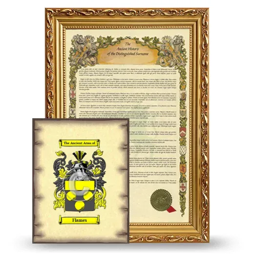 Flames Framed History and Coat of Arms Print - Gold