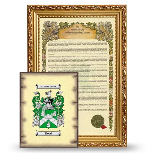 Flood Framed History and Coat of Arms Print - Gold
