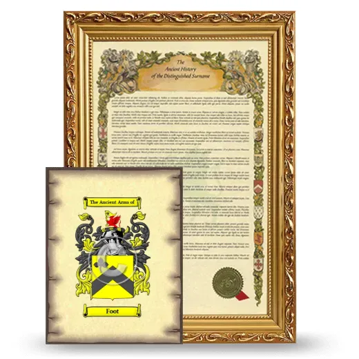 Foot Framed History and Coat of Arms Print - Gold