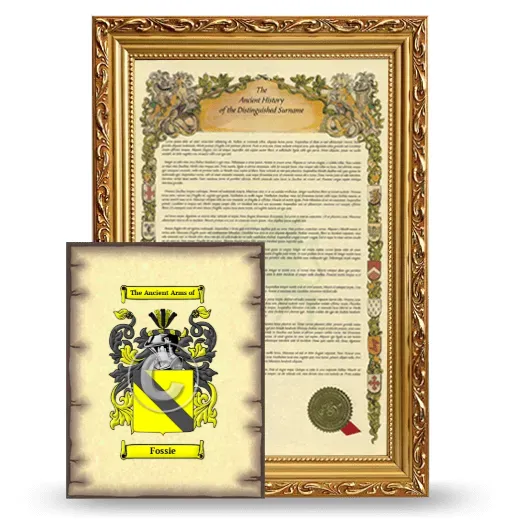 Fossie Framed History and Coat of Arms Print - Gold