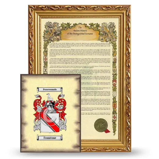 Framtone Framed History and Coat of Arms Print - Gold