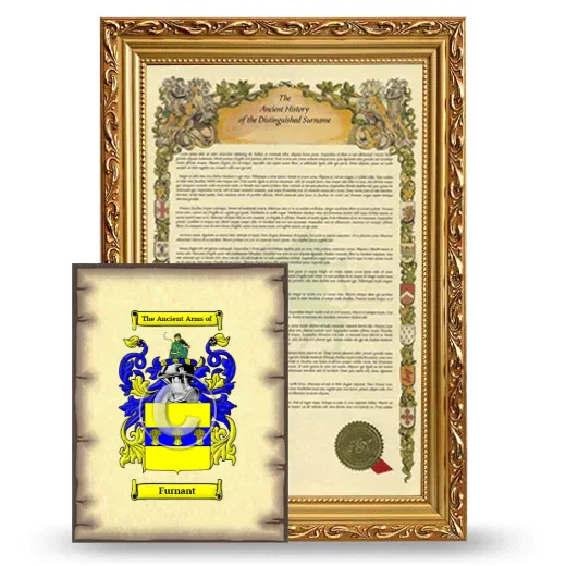 Furnant Framed History and Coat of Arms Print - Gold