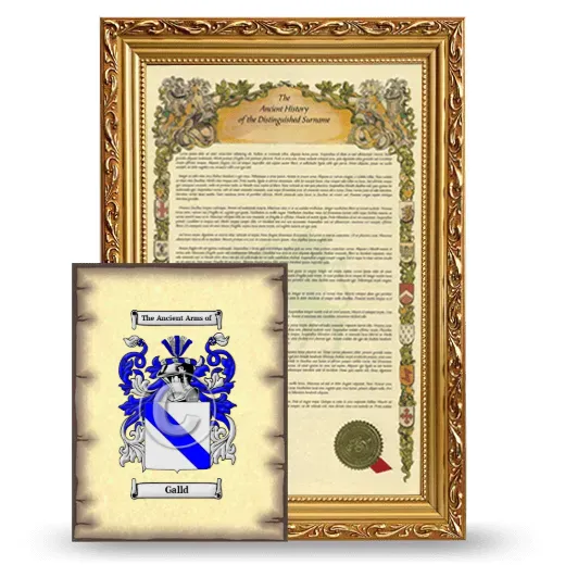 Galld Framed History and Coat of Arms Print - Gold