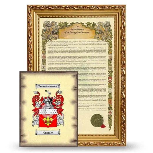 Gamale Framed History and Coat of Arms Print - Gold