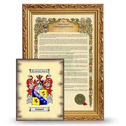 Gammel Framed History and Coat of Arms Print - Gold