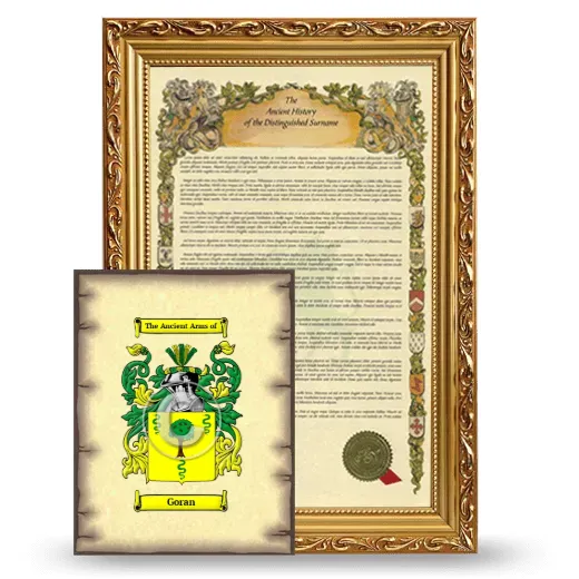 Goran Framed History and Coat of Arms Print - Gold