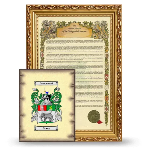 Grany Framed History and Coat of Arms Print - Gold