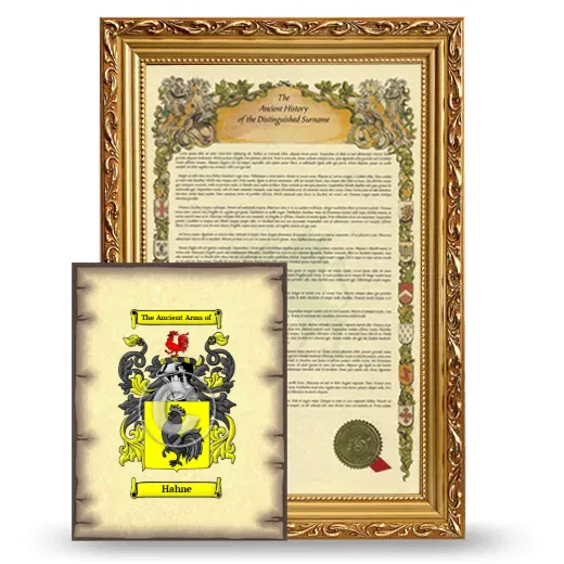 Hahne Framed History and Coat of Arms Print - Gold