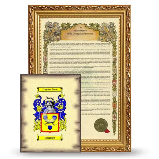 Haneige Framed History and Coat of Arms Print - Gold