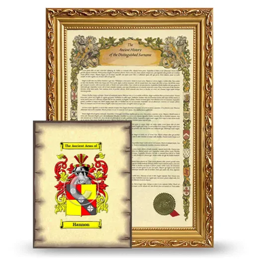 Hannon Framed History and Coat of Arms Print - Gold