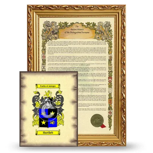 Hartlieb Framed History and Coat of Arms Print - Gold