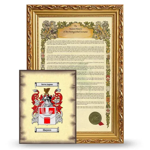 Hayers Framed History and Coat of Arms Print - Gold