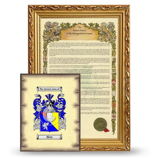 Hess Framed History and Coat of Arms Print - Gold
