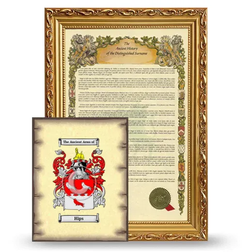 Hips Framed History and Coat of Arms Print - Gold