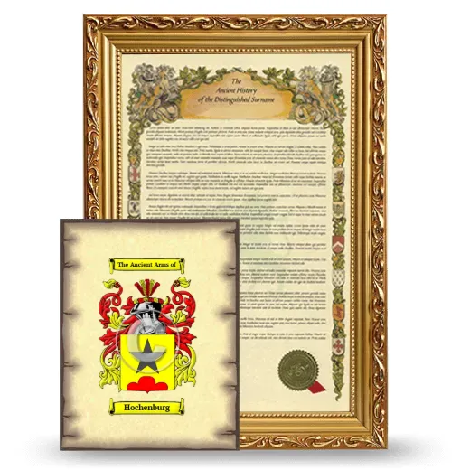 Hochenburg Framed History and Coat of Arms Print - Gold