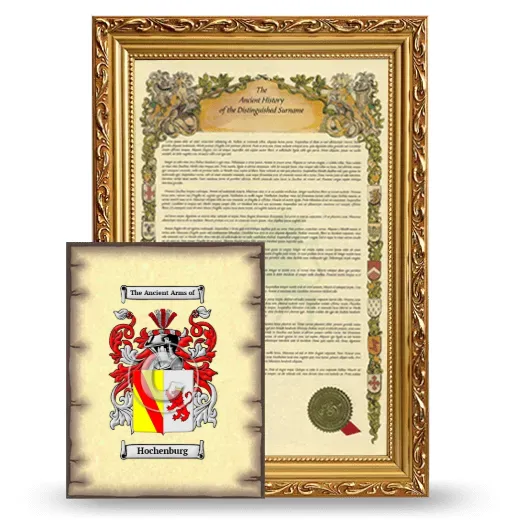 Hochenburg Framed History and Coat of Arms Print - Gold