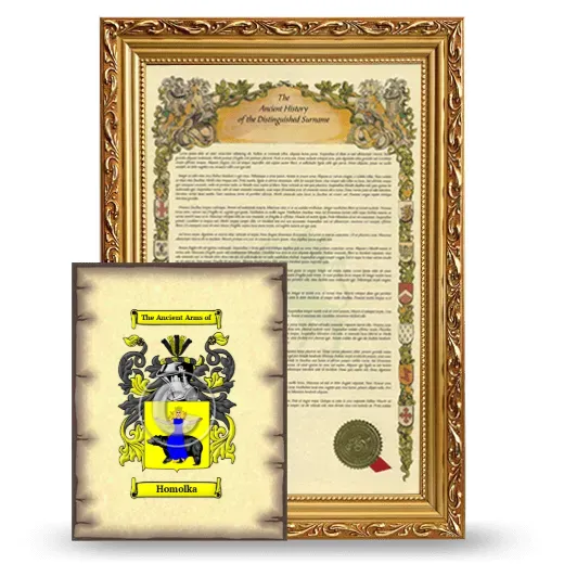 Homolka Framed History and Coat of Arms Print - Gold