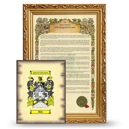Ilish Framed History and Coat of Arms Print - Gold