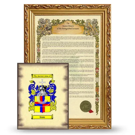 Iram Framed History and Coat of Arms Print - Gold
