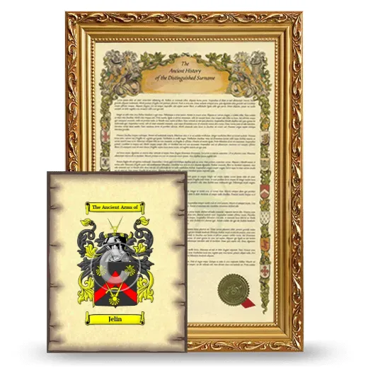 Jelin Framed History and Coat of Arms Print - Gold