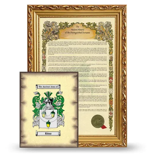 Künz Framed History and Coat of Arms Print - Gold