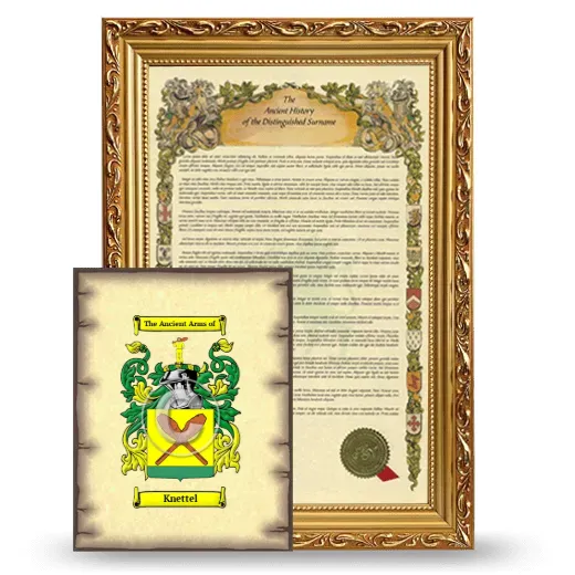 Knettel Framed History and Coat of Arms Print - Gold