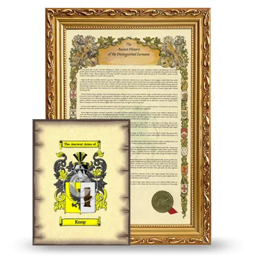 Knop Framed History and Coat of Arms Print - Gold