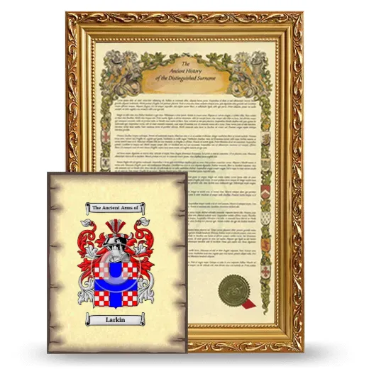 Larkin Framed History and Coat of Arms Print - Gold