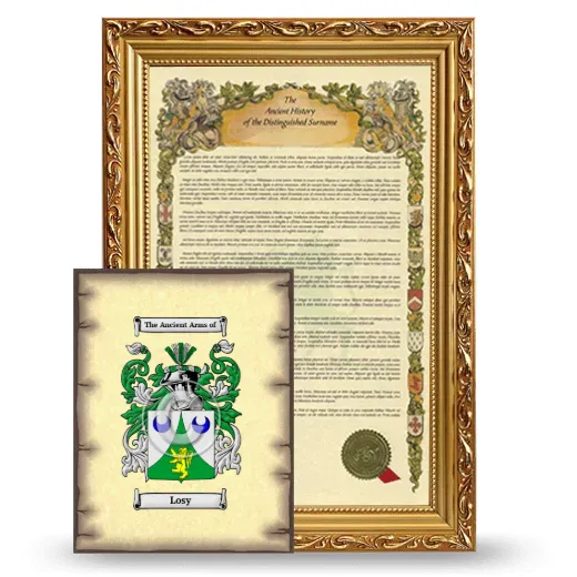 Losy Framed History and Coat of Arms Print - Gold