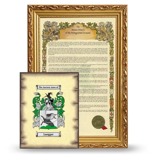Luegger Framed History and Coat of Arms Print - Gold