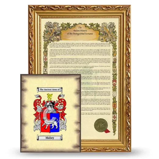Mabey Framed History and Coat of Arms Print - Gold