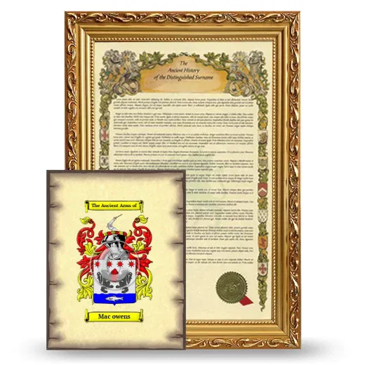 Mac owens Framed History and Coat of Arms Print - Gold