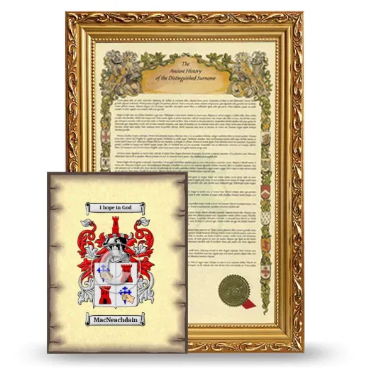 MacNeachdain Framed History and Coat of Arms Print - Gold