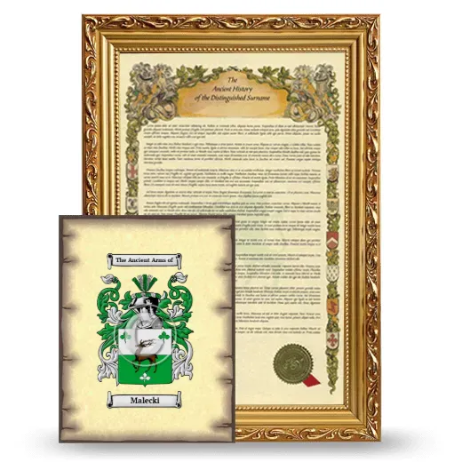 Malecki Framed History and Coat of Arms Print - Gold