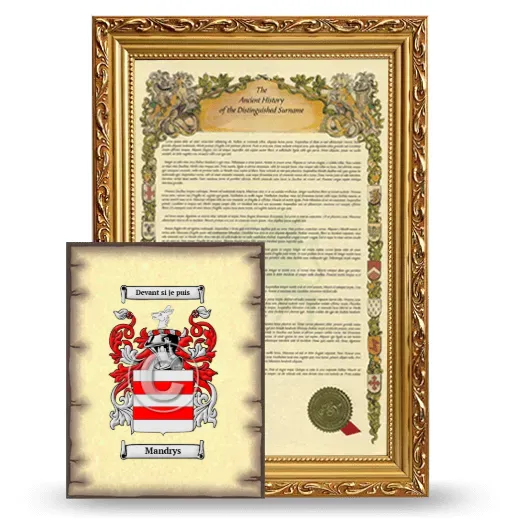 Mandrys Framed History and Coat of Arms Print - Gold