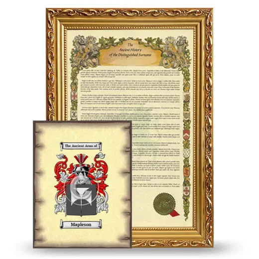 Mapleson Framed History and Coat of Arms Print - Gold