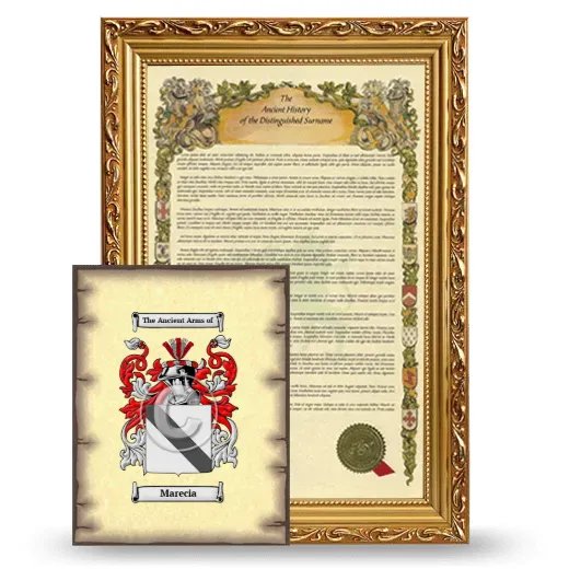 Marecia Framed History and Coat of Arms Print - Gold