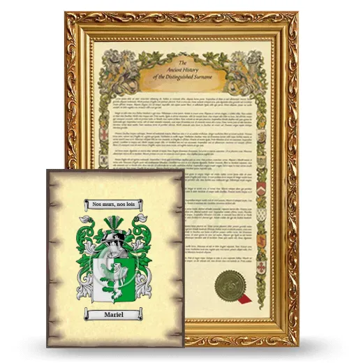 Mariel Framed History and Coat of Arms Print - Gold