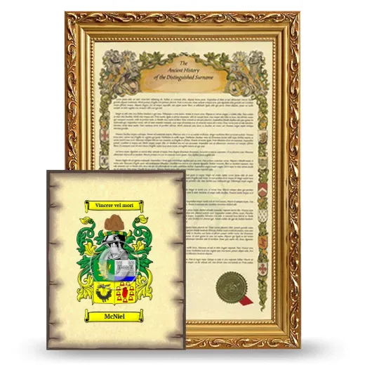 McNiel Framed History and Coat of Arms Print - Gold