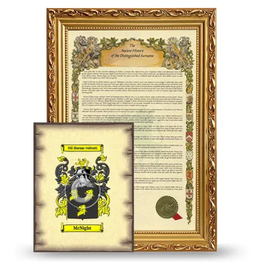 McNight Framed History and Coat of Arms Print - Gold
