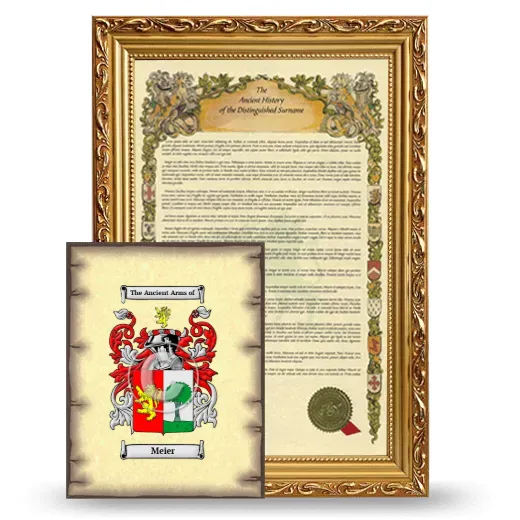 Meier Framed History and Coat of Arms Print - Gold